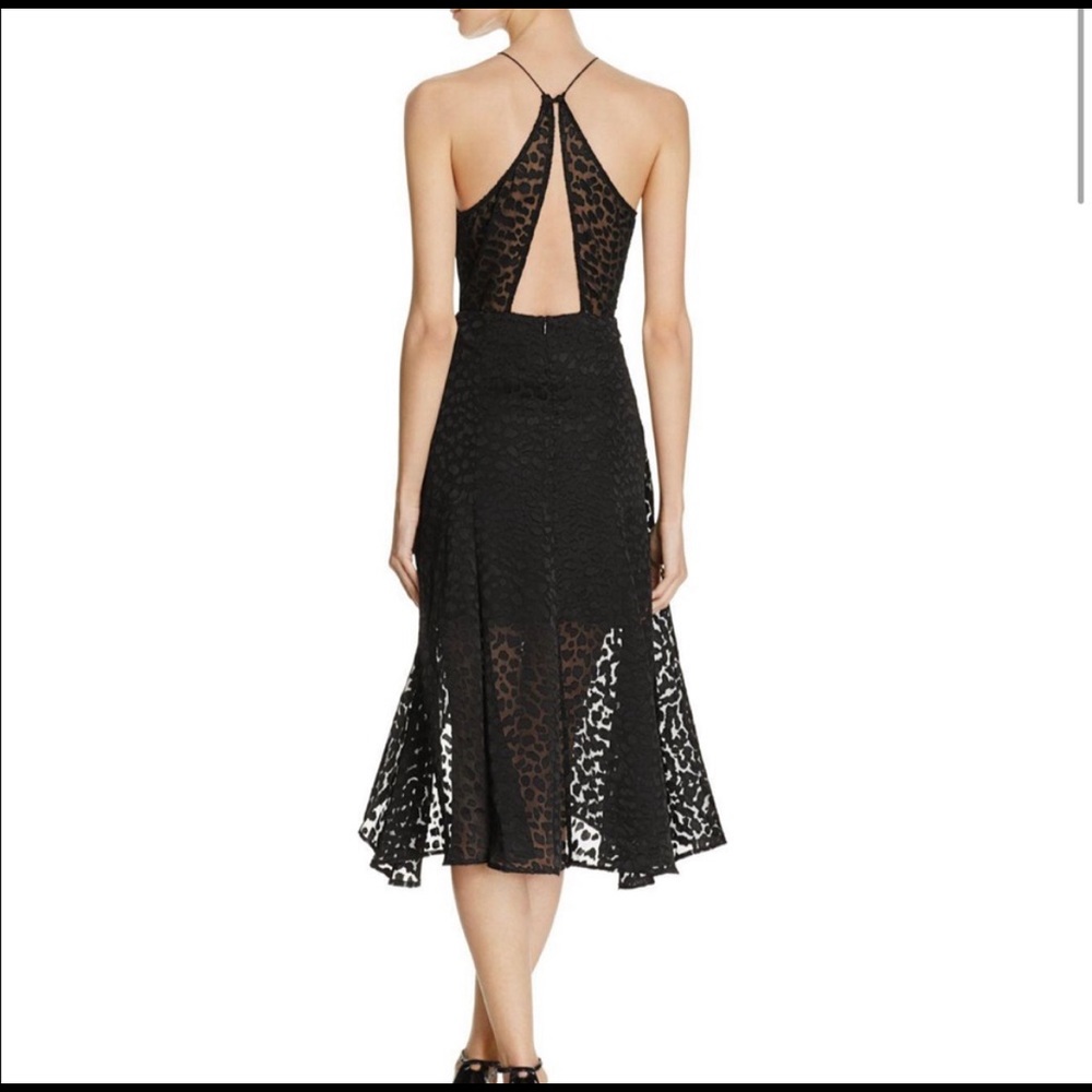 Keepsake Lovers Black Leopard Dress Elegant